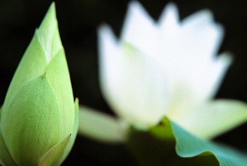 佛学入门