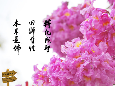 汉传法师