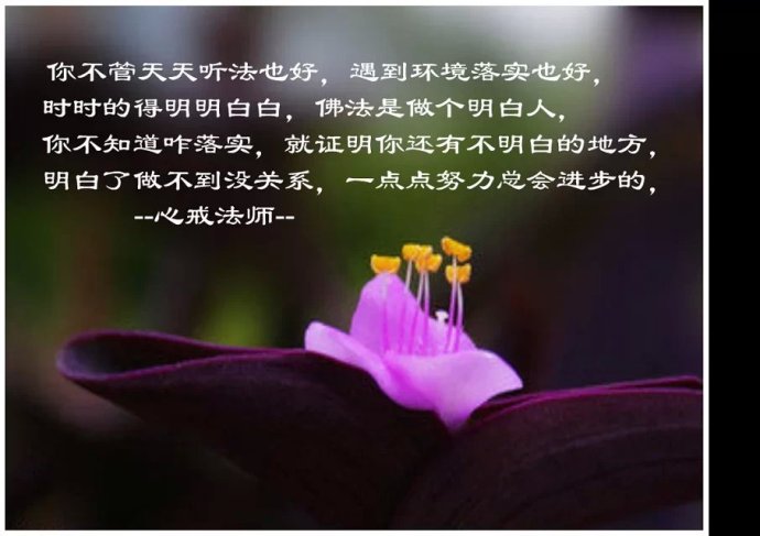 汉传法师