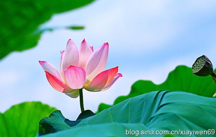 致那些在你生命中得寸进尺的人