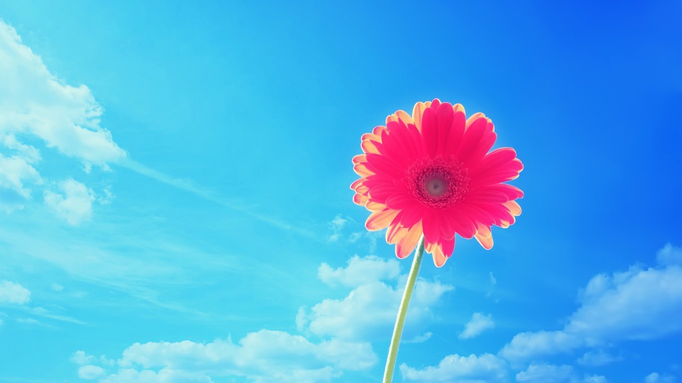 佛教故事