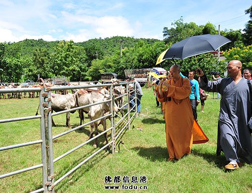汉传法师