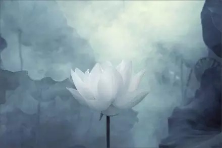 在红尘中，练习静静的觉知