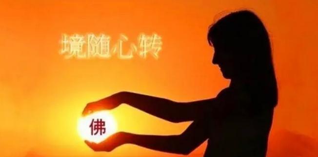 其他文章