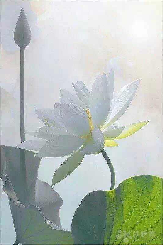 佛学入门