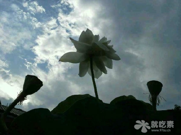 汉传法师