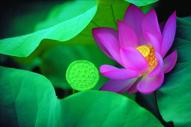 汉传法师