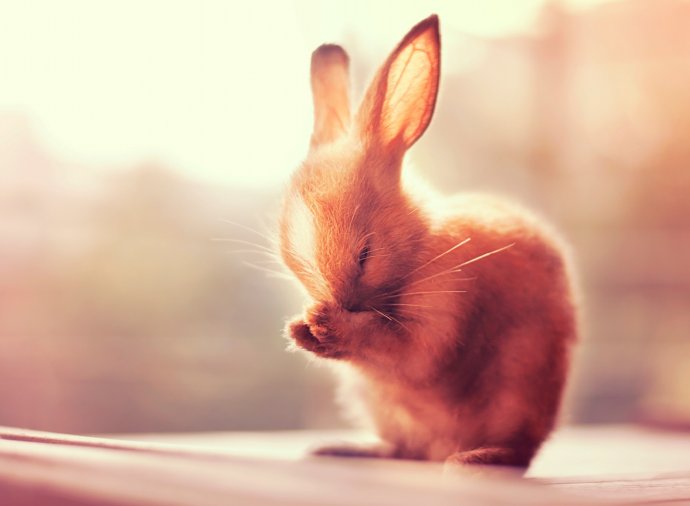 感恩需要做出来，生命才有力量！