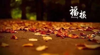 佛学入门