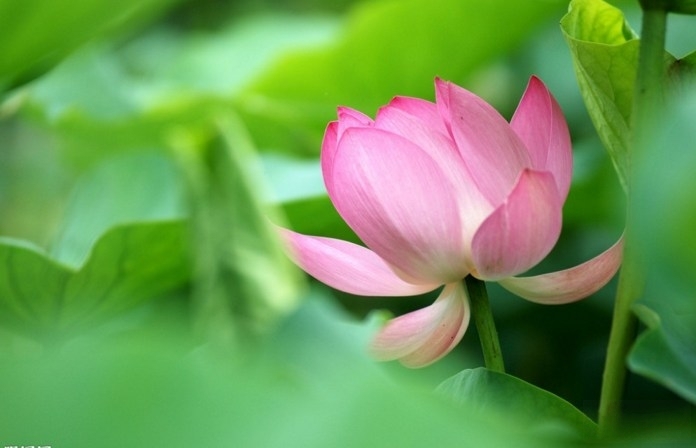 汉传法师