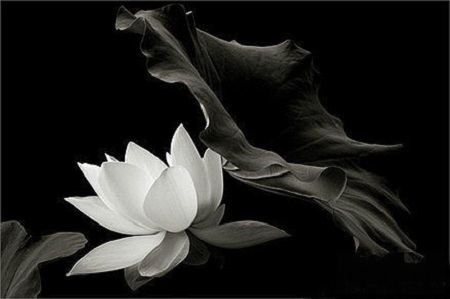 藏传法师