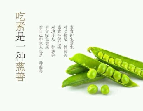 藏传法师