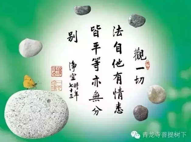 佛学入门