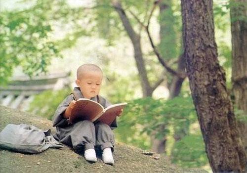 佛学入门