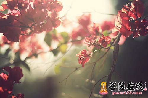 其他文章