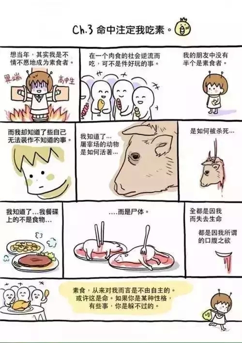 素食者，你应当理直气壮！