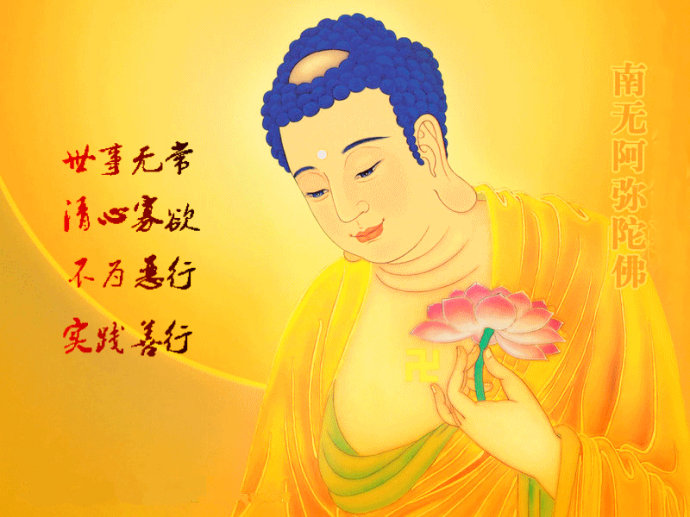 心想事成与事与愿违的区别在哪里？
