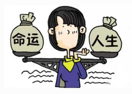 其他文章