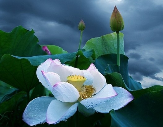 汉传法师