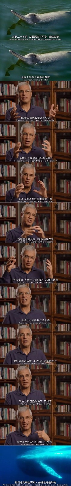 《竞相灭绝》那些在我眼前消失的物种