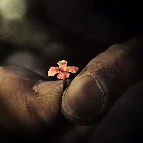 汉传法师