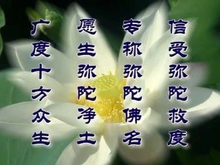 其他文章