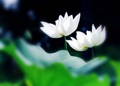 汉传法师