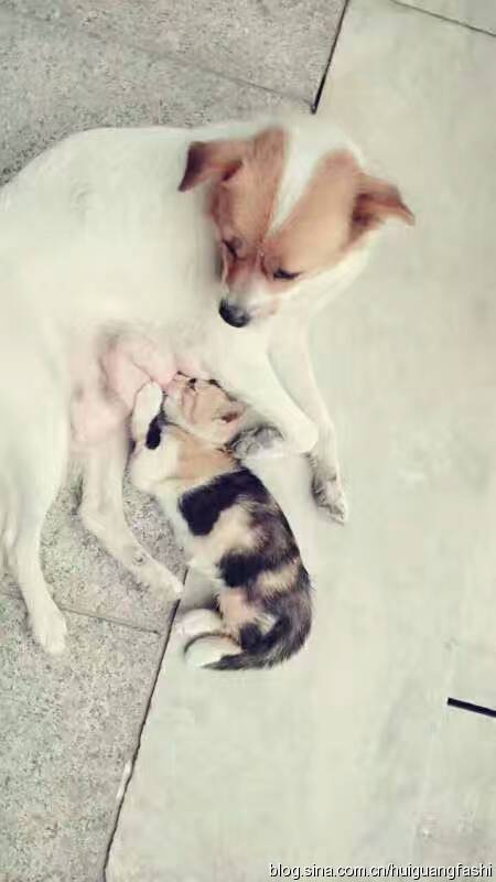 为什么有人说“修行”就是“修心”