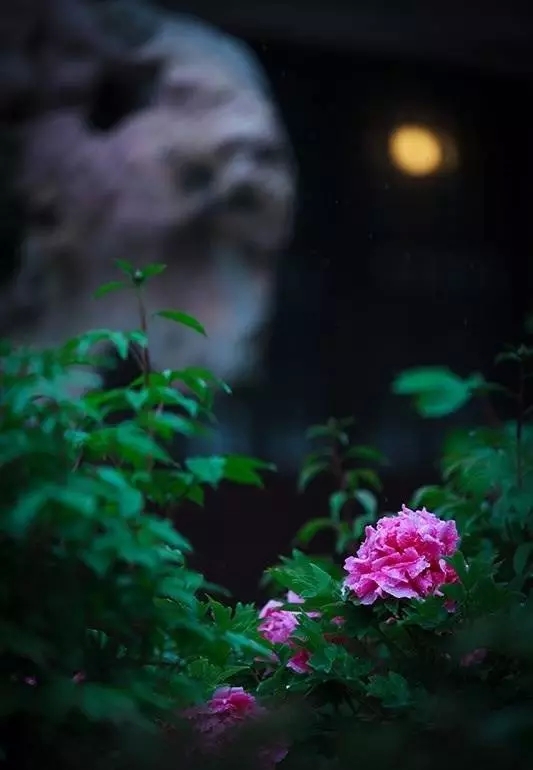 每日一禅：说起来容易，做起来难