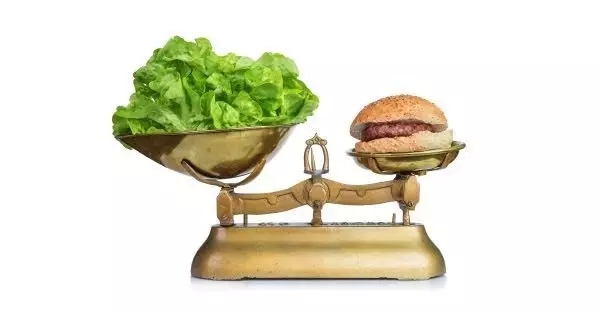人是不是真的需要动物蛋白？