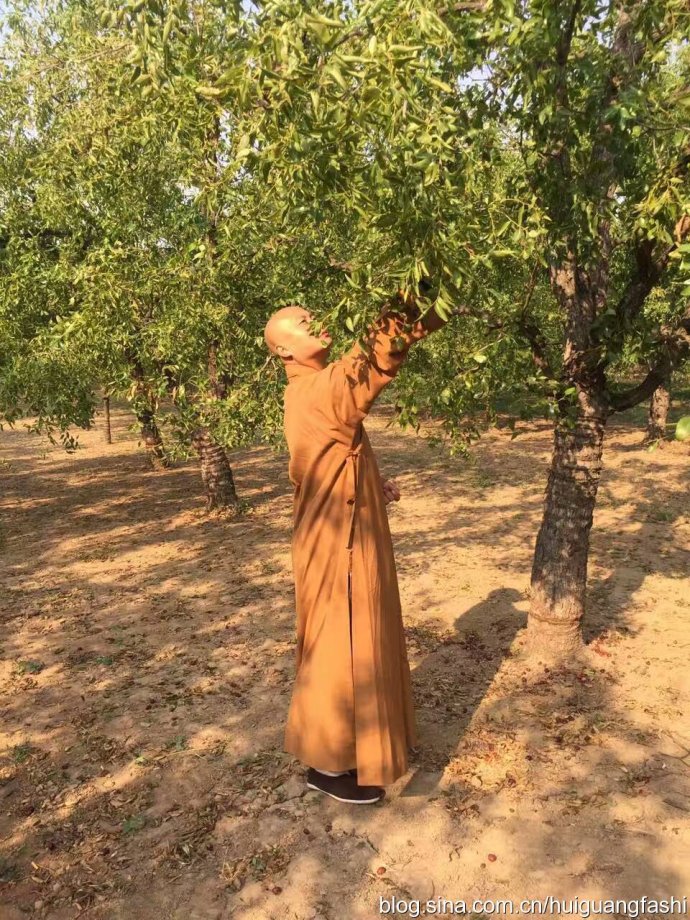 汉传法师