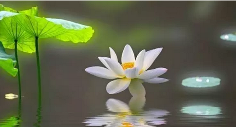 汉传法师