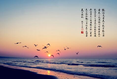 大德居士