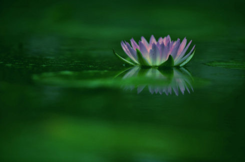 汉传法师