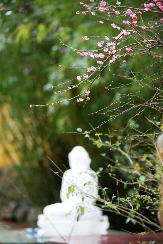 汉传法师