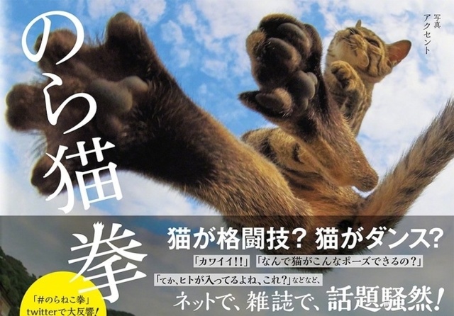 喵星人：让你见识见识什么是真功夫