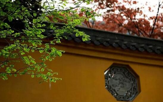 净土法门：怎么样断恶修善？怎么样积功累德？