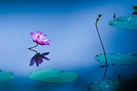 汉传法师