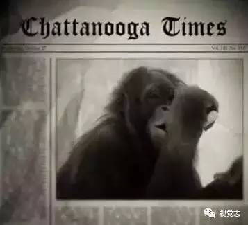 这只猩猩认了一位姑娘做妈妈，它学过手语、读过大学、相信过人类，后来，他死了