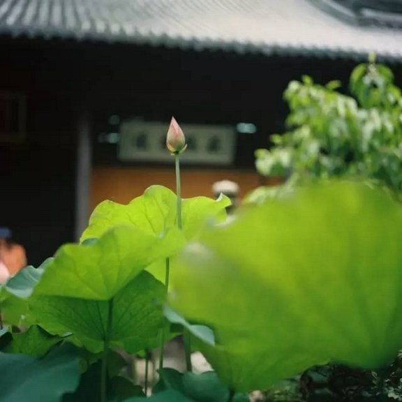 其他文章