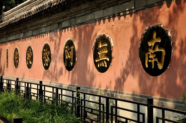 暂执圣号已胜百年之福，一发大心已越历劫善根