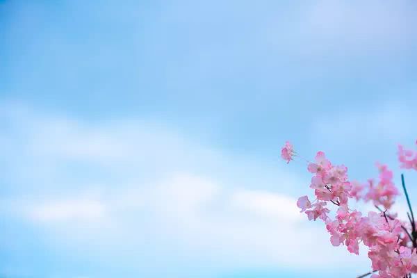 真正的佛法不是消极避世