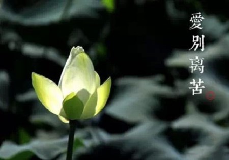 既知死后无情义,早把生前恩爱勾