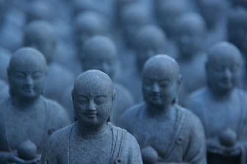 想到这末世还有阿罗汉，我才不会孤独
