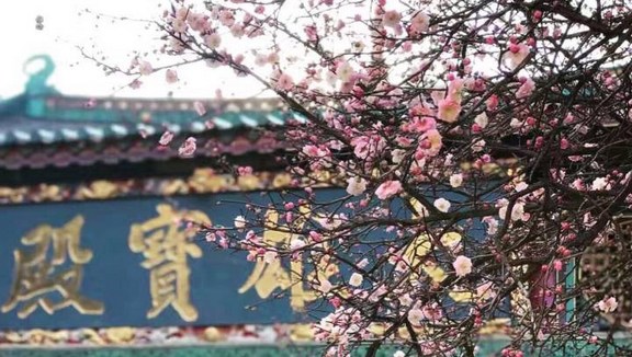 《文昌帝君阴骘文》原文及白话