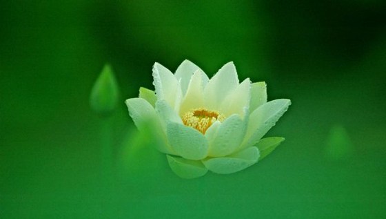 对治我们的烦恼习气