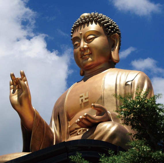 未曾闻死亡声响
