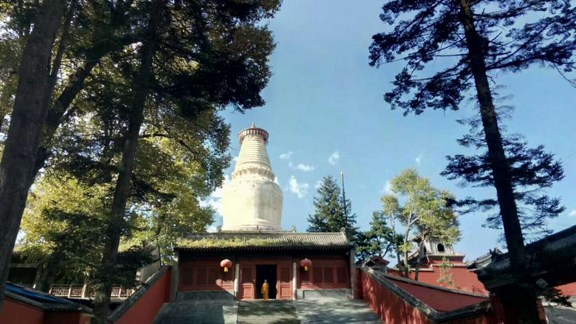若说不能行，不名为智者