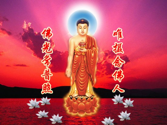 什么是净土宗的真行