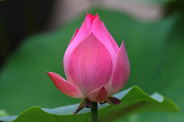 缘是我们多生多劫积累而来的